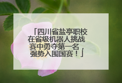 四川省盐亭职校在省级机器人挑战赛中勇夺第一名，强势入围国赛！