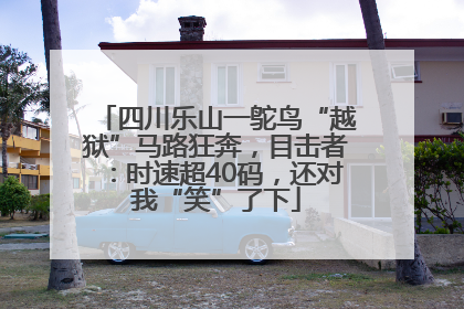 四川乐山一鸵鸟“越狱”马路狂奔，目击者：时速超40码，还对我“笑”了下