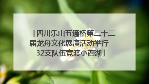 四川乐山五通桥第二十二届龙舟文化展演活动举行 32支队伍竞渡小西湖