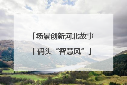 场景创新河北故事丨码头“智慧风”