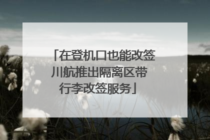 在登机口也能改签 川航推出隔离区带行李改签服务