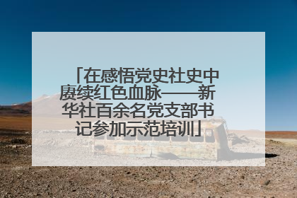 在感悟党史社史中赓续红色血脉——新华社百余名党支部书记参加示范培训