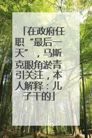 在政府任职“最后一天”，马斯克眼角淤青引关注，本人解释：儿子干的