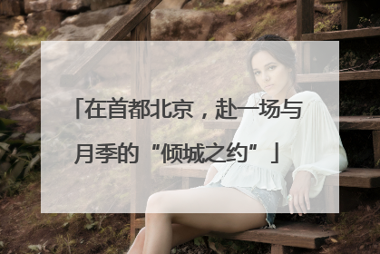 在首都北京，赴一场与月季的“倾城之约”