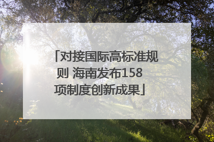 对接国际高标准规则 海南发布158项制度创新成果
