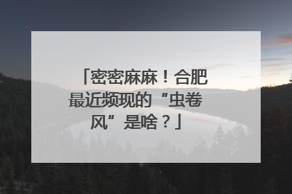 密密麻麻！合肥最近频现的“虫卷风”是啥？