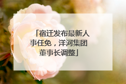 宿迁发布最新人事任免，洋河集团董事长调整