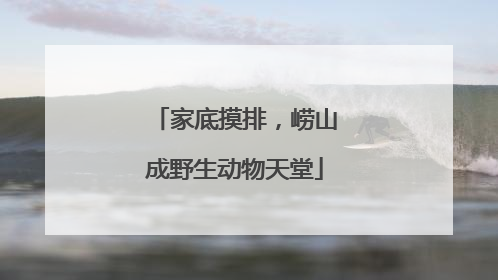 家底摸排，崂山成野生动物天堂