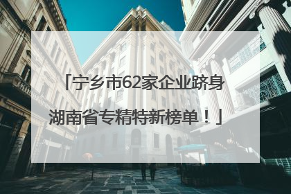 宁乡市62家企业跻身湖南省专精特新榜单！