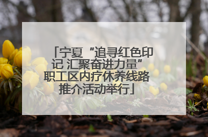 宁夏“追寻红色印记 汇聚奋进力量”职工区内疗休养线路推介活动举行