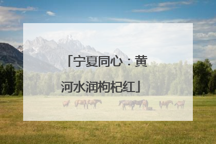 宁夏同心：黄河水润枸杞红