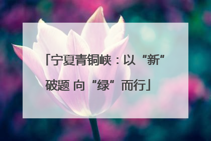 宁夏青铜峡：以“新”破题 向“绿”而行