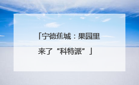 宁德蕉城：果园里来了“科特派”