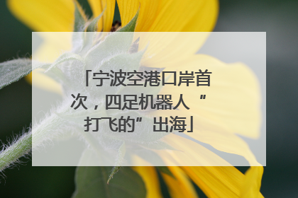 宁波空港口岸首次，四足机器人“打飞的”出海