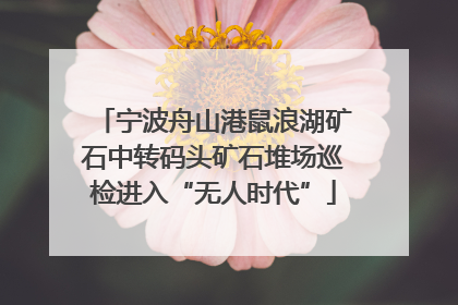 宁波舟山港鼠浪湖矿石中转码头矿石堆场巡检进入“无人时代”
