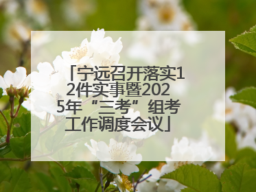 宁远召开落实12件实事暨2025年“三考”组考工作调度会议