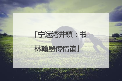 宁远湾井镇：书林翰墨传情谊