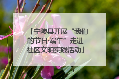 宁陵县开展“我们的节日·端午”走进社区文明实践活动