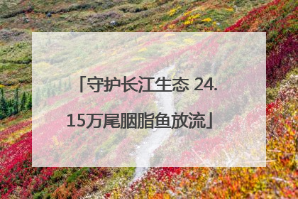 守护长江生态 24.15万尾胭脂鱼放流