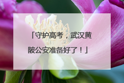 守护高考，武汉黄陂公安准备好了！