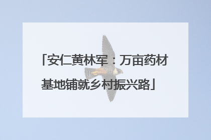安仁黄林军：万亩药材基地铺就乡村振兴路