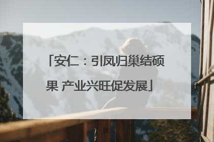 安仁：引凤归巢结硕果 产业兴旺促发展