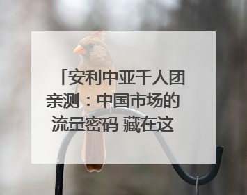 安利中亚千人团亲测：中国市场的流量密码 藏在这些细节里