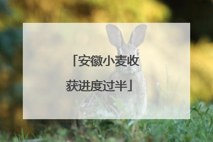安徽小麦收获进度过半