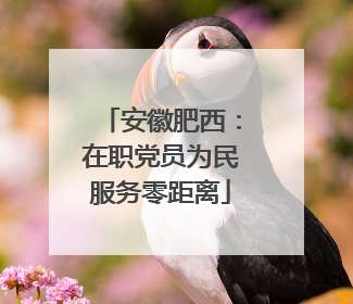 安徽肥西：在职党员为民服务零距离