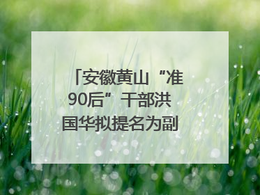 安徽黄山“准90后”干部洪国华拟提名为副区县长人选