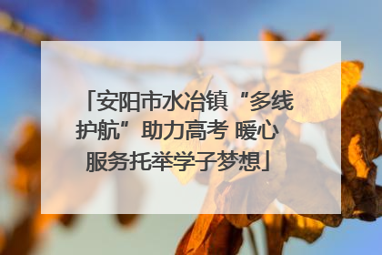 安阳市水冶镇“多线护航”助力高考 暖心服务托举学子梦想