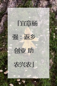 宜章杨强：返乡创业 助农兴农