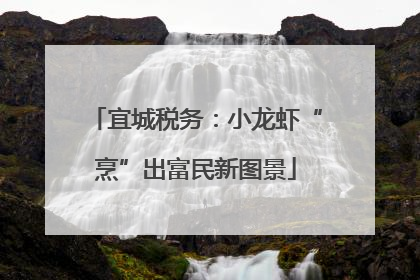 宜城税务：小龙虾“烹”出富民新图景