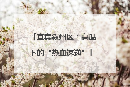 宜宾叙州区：高温下的“热血速递”