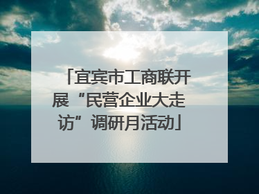 宜宾市工商联开展“民营企业大走访”调研月活动