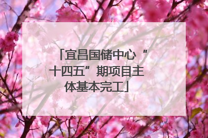 宜昌国储中心“十四五”期项目主体基本完工