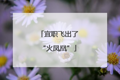 宜职飞出了“火凤凰”