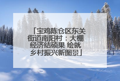 宝鸡陈仓区东关街道南阳村：大棚经济结硕果 绘就乡村振兴新图景