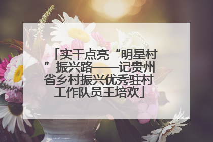 实干点亮“明星村”振兴路——记贵州省乡村振兴优秀驻村工作队员王培欢