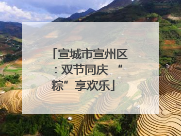 宣城市宣州区：双节同庆 “粽”享欢乐