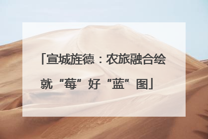 宣城旌德：农旅融合绘就“莓”好“蓝”图