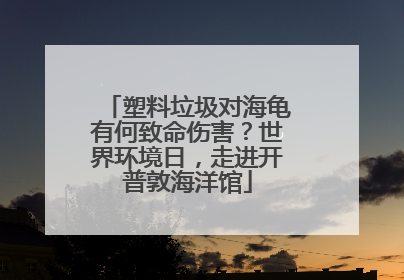 塑料垃圾对海龟有何致命伤害？世界环境日，走进开普敦海洋馆