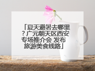 夏天避暑去哪里?广元朝天区西安专场推介会 发布旅游美食线路