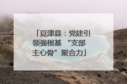 夏津县：党建引领强根基 “支部主心骨”聚合力