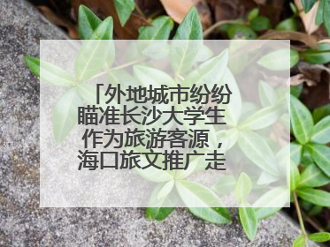 外地城市纷纷瞄准长沙大学生作为旅游客源，海口旅文推广走上星城街头