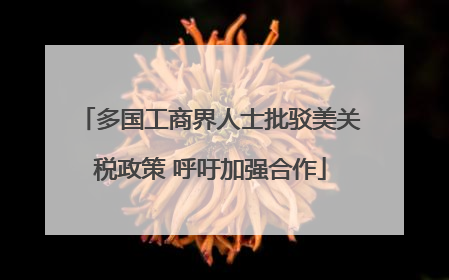 多国工商界人士批驳美关税政策 呼吁加强合作