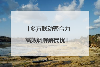 多方联动聚合力 高效调解解民忧