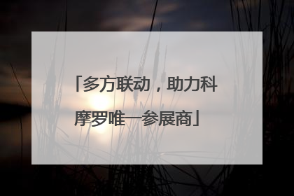 多方联动，助力科摩罗唯一参展商