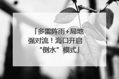 多雷阵雨+局地强对流！海口开启“倒水”模式