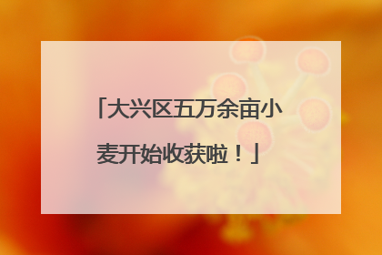 大兴区五万余亩小麦开始收获啦！